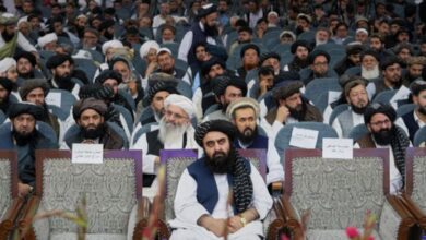 taliban government