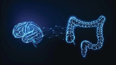 Brain and stomach