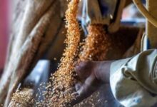 Wheat crisis