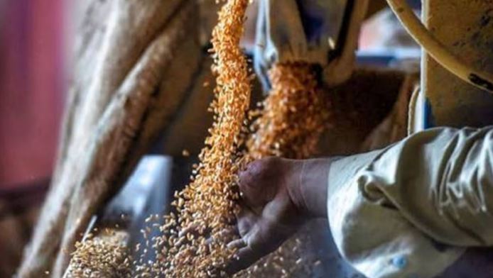 Wheat crisis