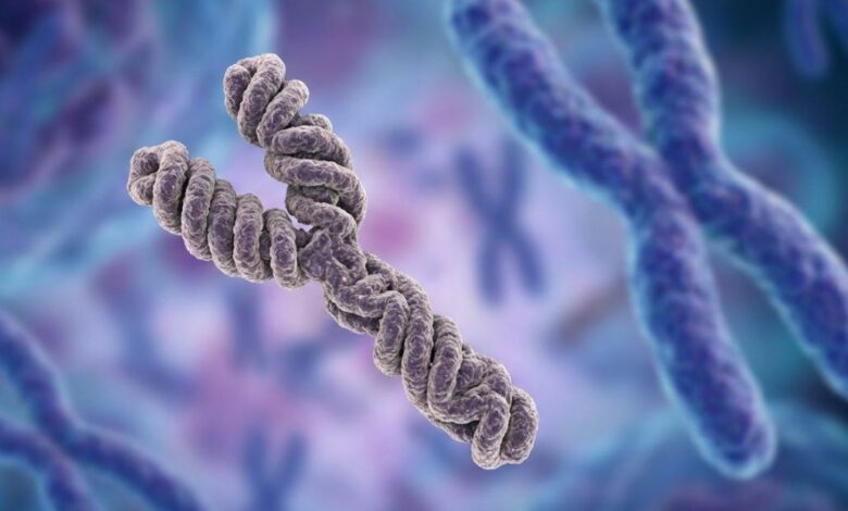 Y chromosome