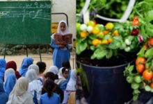 government school notification