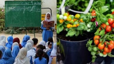 government school notification