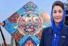maryam nawaz and basant