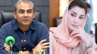 maryam nawaz and mohsin naqvi