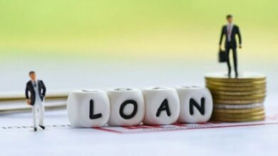 pakistani loan