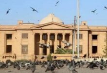 photographer and cameraman ban in high court