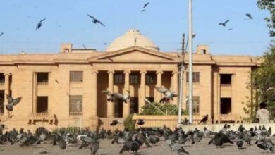 photographer and cameraman ban in high court