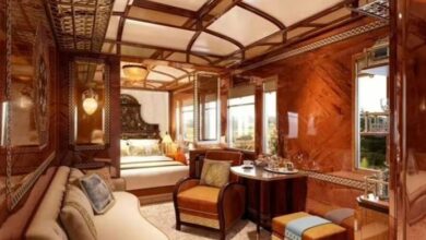 saudi arabia train