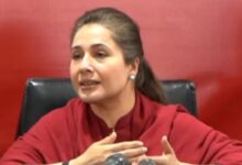 shandana gulzar
