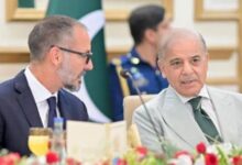 shehbaz sharif meet with prince rahim aga khan
