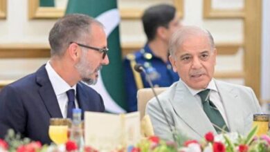 shehbaz sharif meet with prince rahim aga khan