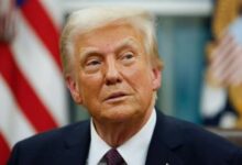 trump news