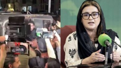 uzma bukhari replay to sohail afridi