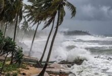 Cyclone Arnab in the Bay of Bengal