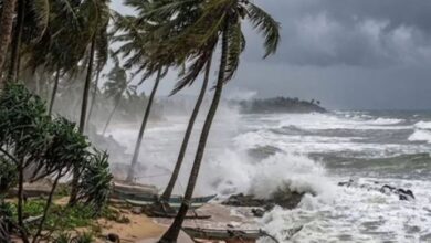 Cyclone Arnab in the Bay of Bengal