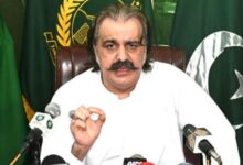 ali ameen gandapur