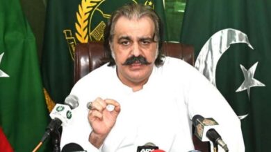 ali ameen gandapur