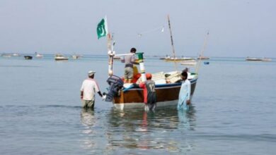 pakistani fish maker