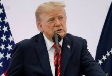 trump news