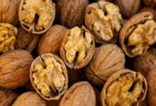 walnut eating benefits